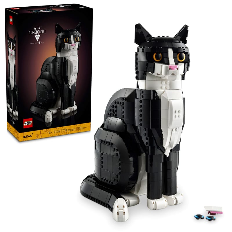 21349 — Tuxedo Cat